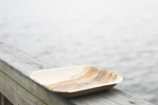 Introducing Paperless Kitchen's New Line of Beautiful and Compostable Disposable Dinnerware: Frondware!